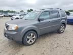 2013 HONDA PILOT