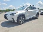 2019 LEXUS NX