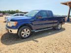 2010 FORD F150