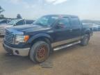2011 FORD F150