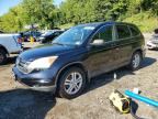2010 HONDA CR-V