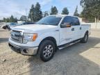 2013 FORD F150