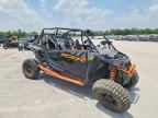 2024 POLS RZR