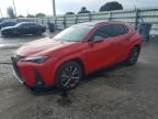 2024 LEXUS UX 250H