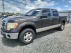2009 FORD F150