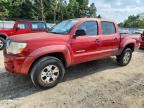 2006 TOYOTA TACOMA