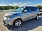 2025 KIA SOUL