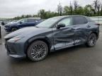 2023 LEXUS RZ