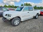 2005 TOYOTA TUNDRA