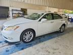 2010 LEXUS ES