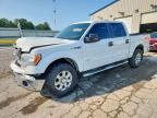 2013 FORD F150