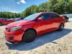 2009 TOYOTA COROLLA