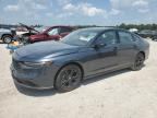 2025 HONDA ACCORD