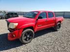 2007 TOYOTA TACOMA
