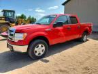 2013 FORD F150