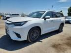 2026 LEXUS TX 350