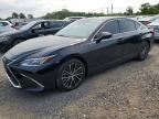2024 LEXUS ES 350
