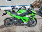 2025 KAWASAKI EX500