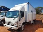 2024 ISUZU NPR HD