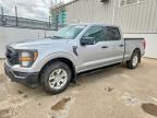 2023 FORD F150