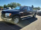 2014 FORD F150