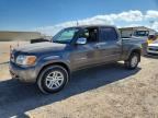 2006 TOYOTA TUNDRA