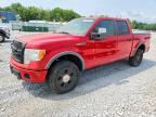 2010 FORD F150