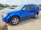 2012 FORD ESCAPE