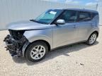 2024 KIA SOUL
