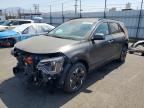 2025 KIA NIRO