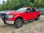 2010 FORD F150