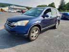 2010 HONDA CR-V