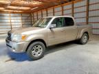 2005 TOYOTA TUNDRA