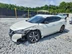 2023 NISSAN MAXIMA
