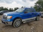 2010 FORD F150
