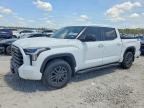 2025 TOYOTA TUNDRA