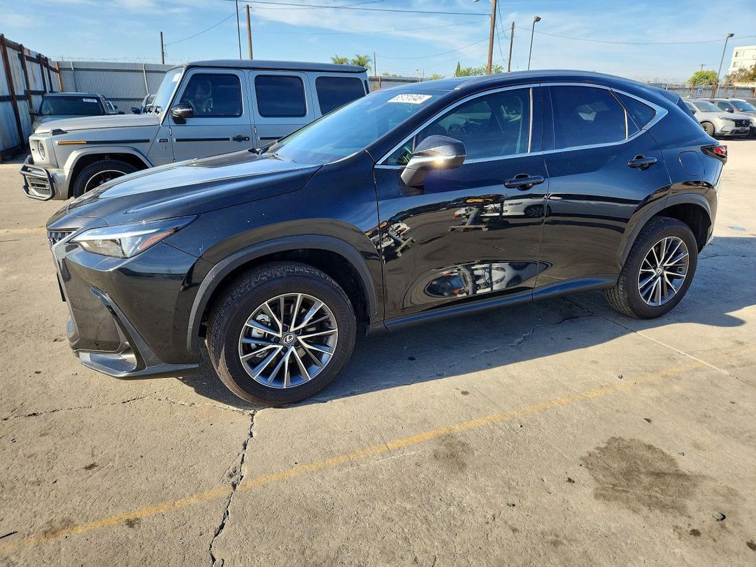 2024 LEXUS NX