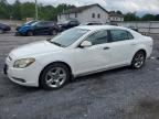 2010 CHEVROLET MALIBU