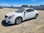 2010 NISSAN ALTIMA
