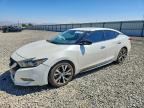 2017 NISSAN MAXIMA
