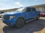 2012 FORD F150