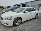 2010 NISSAN MAXIMA