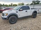 2010 FORD F150