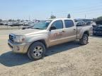 2005 TOYOTA TACOMA