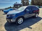 2014 KIA SORENTO