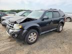 2011 FORD ESCAPE