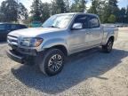 2005 TOYOTA TUNDRA