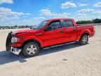2014 FORD F150