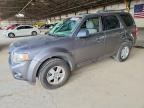2009 FORD ESCAPE