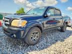 2006 TOYOTA TUNDRA